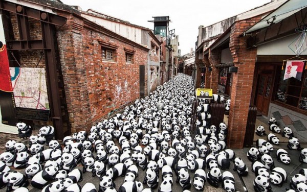 panda-papel-mache-gira-paulo-grangeon-03