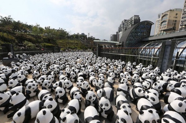 panda-papel-mache-gira-paulo-grangeon-04