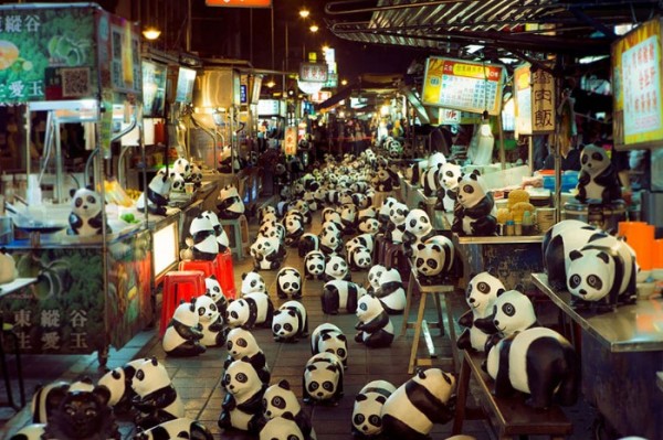 panda-papel-mache-gira-paulo-grangeon-05