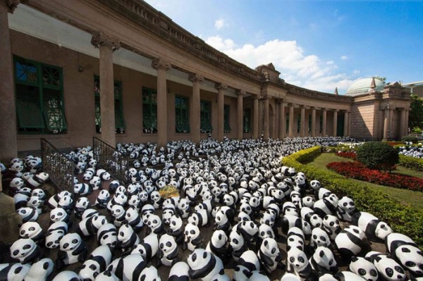 panda-papel-mache-gira-paulo-grangeon-06