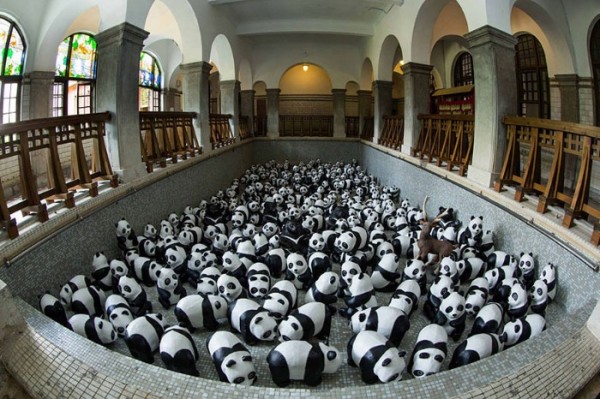 panda-papel-mache-gira-paulo-grangeon-08