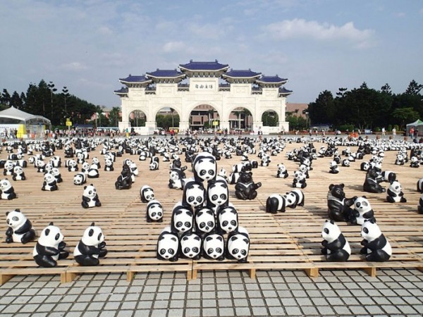 panda-papel-mache-gira-paulo-grangeon-10