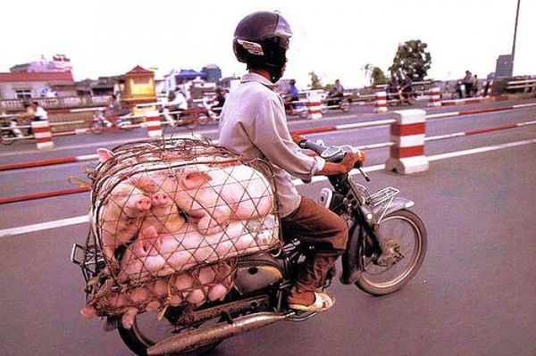 transporte-con-motocicleta-en-vietnam-12