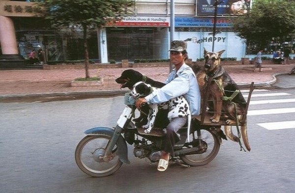 transporte-con-motocicleta-en-vietnam-16