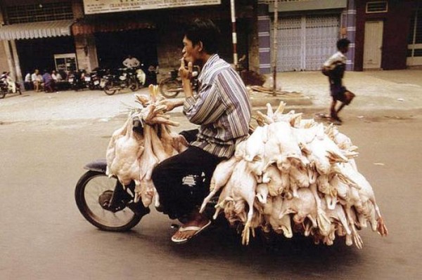 transporte-con-motocicleta-en-vietnam-17
