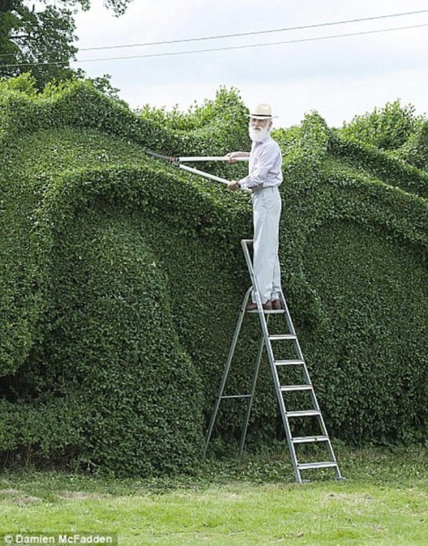 un-dragon-en-el-jardin-01