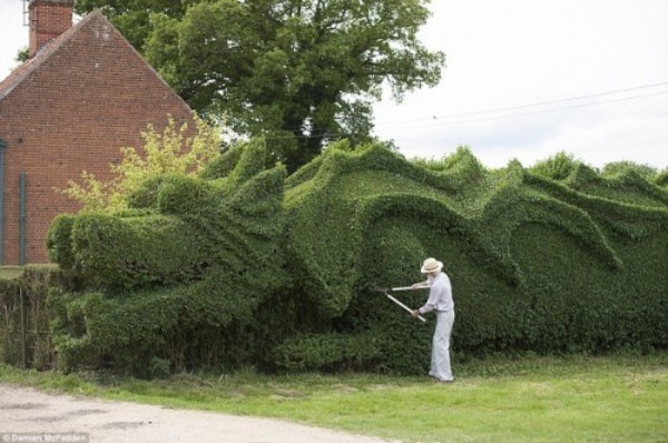 un-dragon-en-el-jardin-02