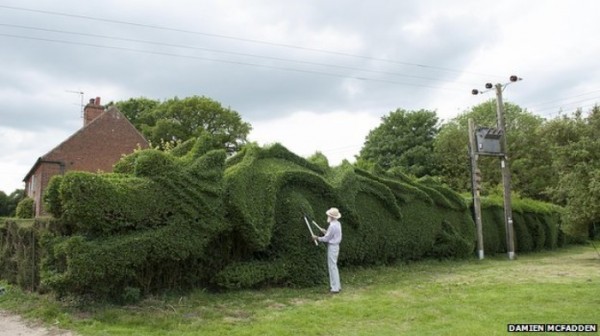 un-dragon-en-el-jardin-03