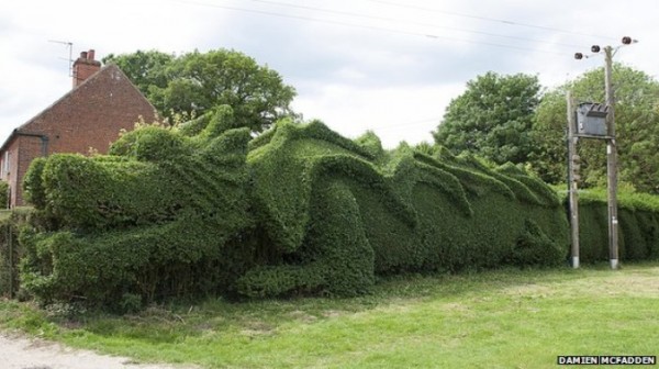 un-dragon-en-el-jardin-04